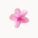 HAWAII Hair Clip - Pink