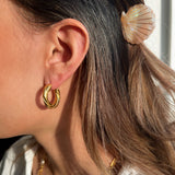 GEMMA Hoops